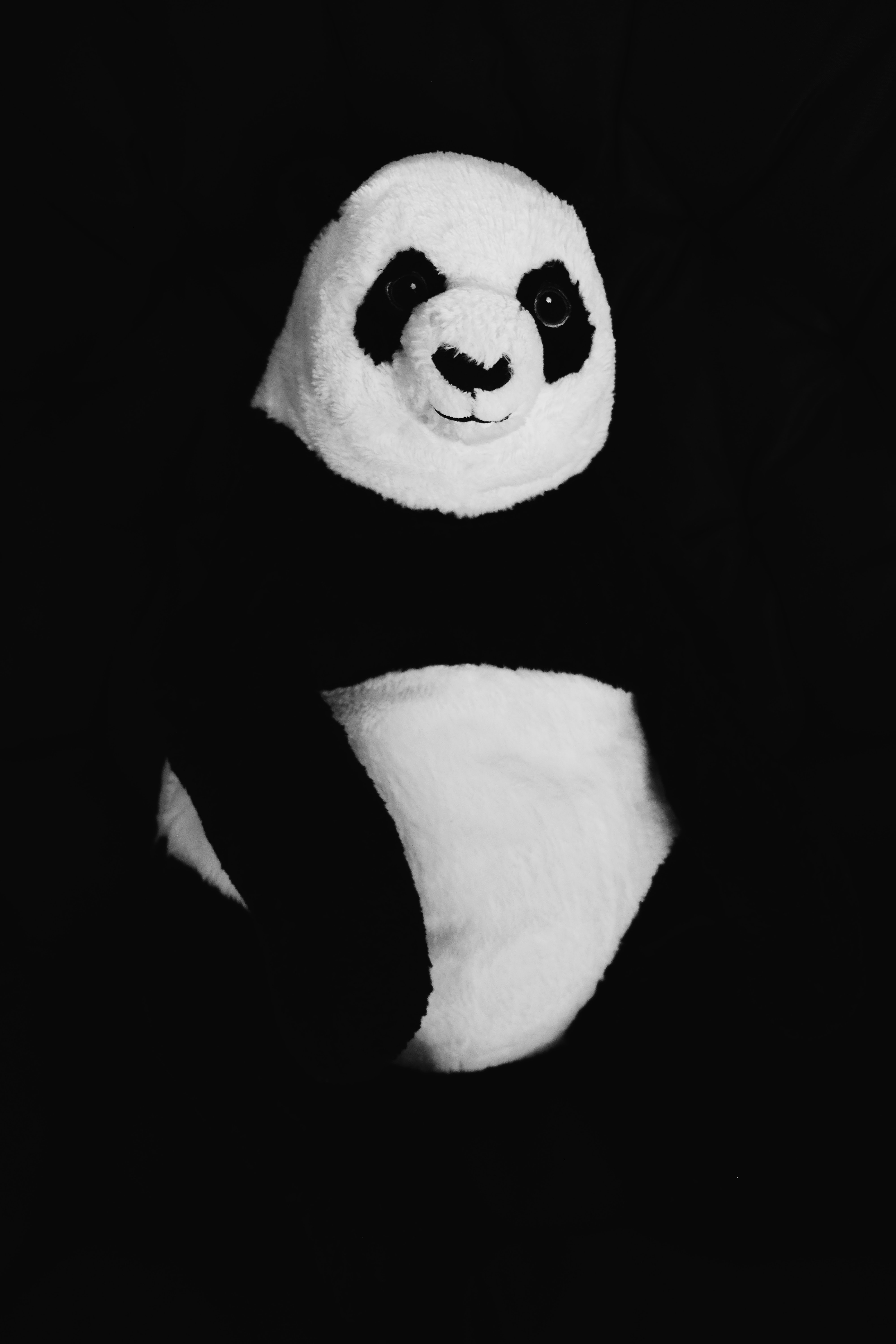 panda plush